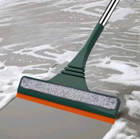 Cây lau kính dài/ Reed glass