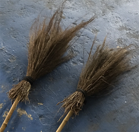 Chổi Thanh Hao / Thanh Hao - brush