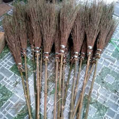 Chổi Thanh Hao / Thanh Hao - brush